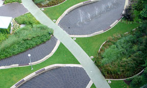 leaf garden