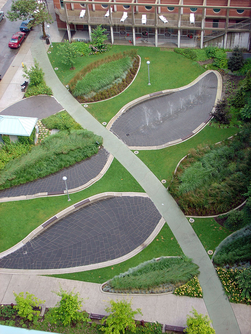 leaf garden image