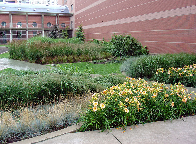 leaf garden image