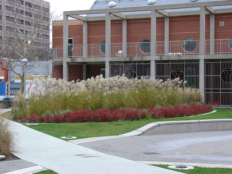 leaf garden image